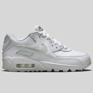 Nike Cool Grey Air Max 90 LTR Big Kids Shoes